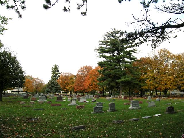 SECTION A IN FALL